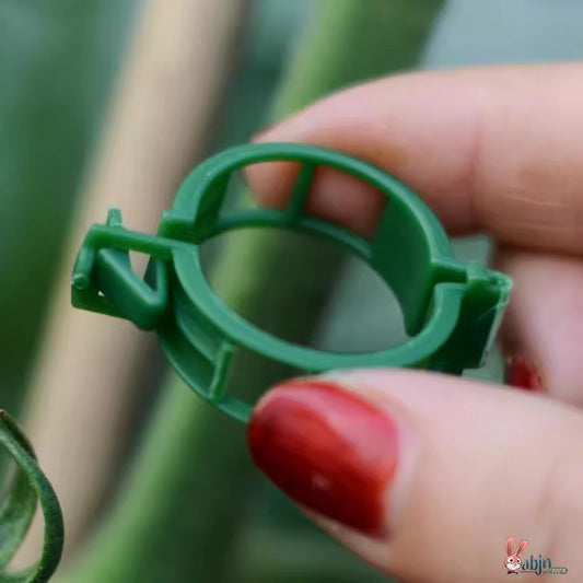 Vine Plant Fixing Clips