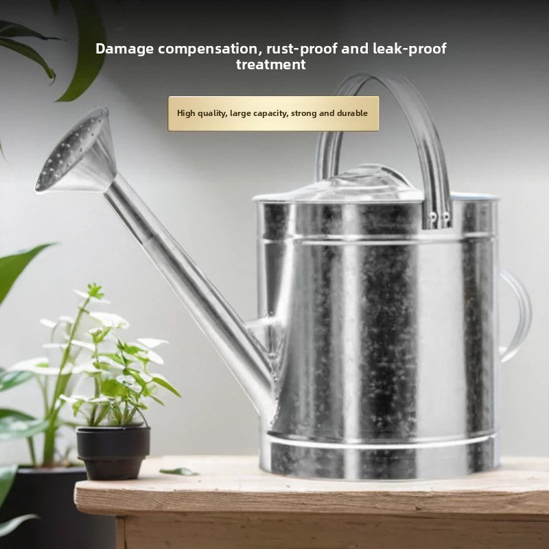 Stainless Steel Watering Can