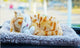Cute Animal Car Dashboard Decor