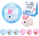 Interactive Rolling Pet Ball