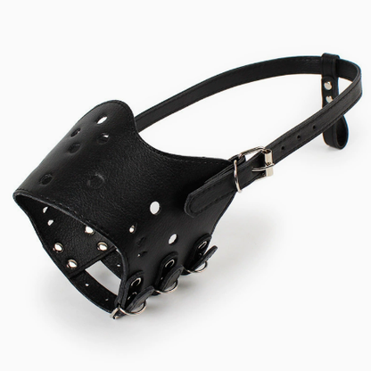 Dog Muzzle Barking Control