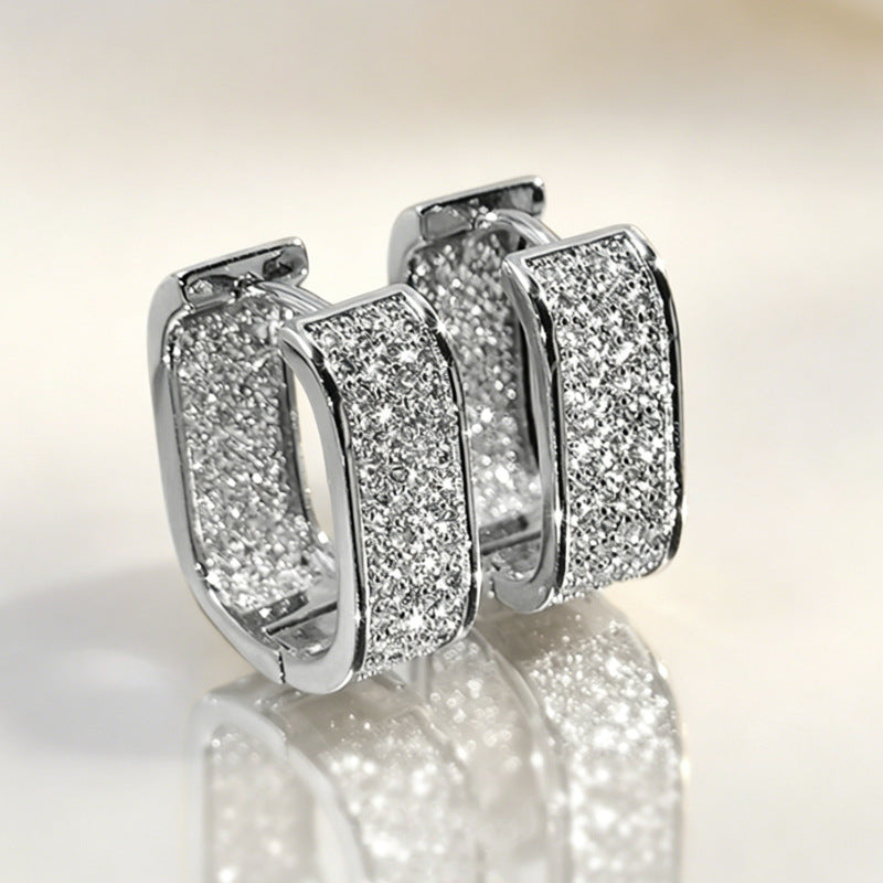 U Shaped Zircon Earrings