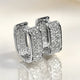 U Shaped Zircon Earrings