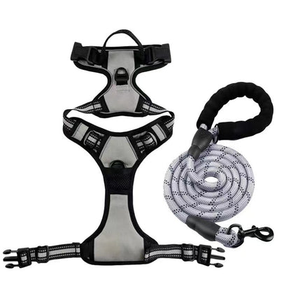 Dog Harness & Leash