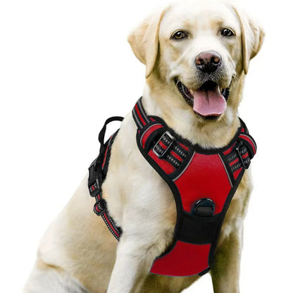 Dog Harness & Leash