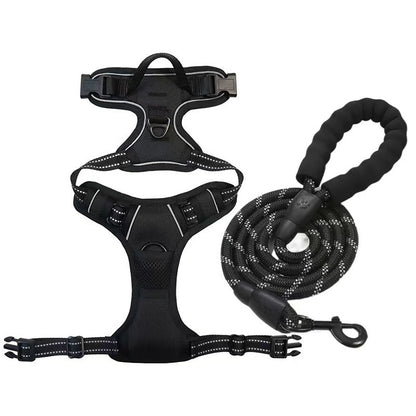 Dog Harness & Leash