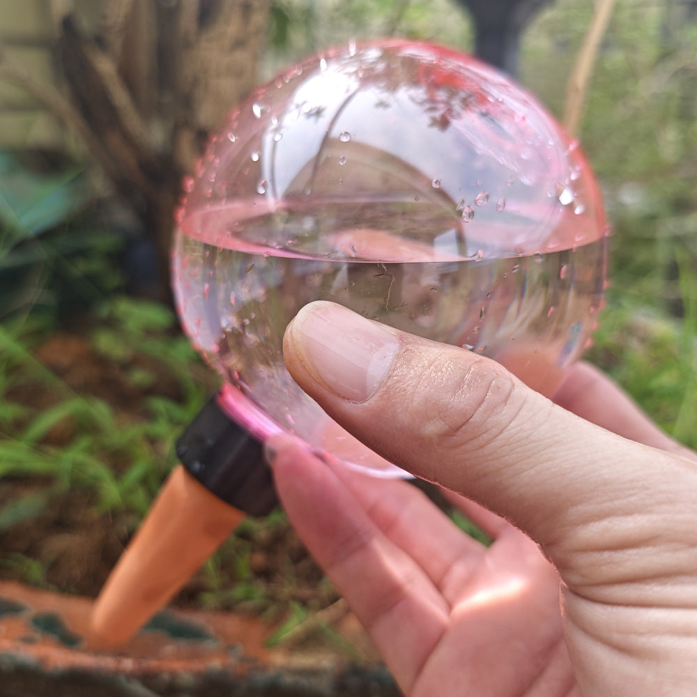 Self Watering Plant Globes