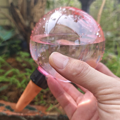 Self Watering Plant Globes