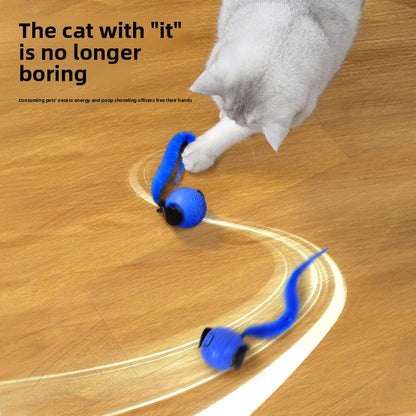 Interactive Cat Toy Ball