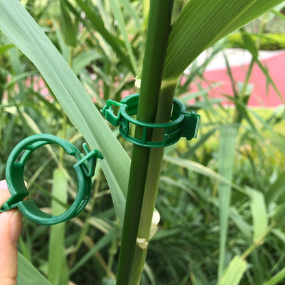 Vine Plant Fixing Clips