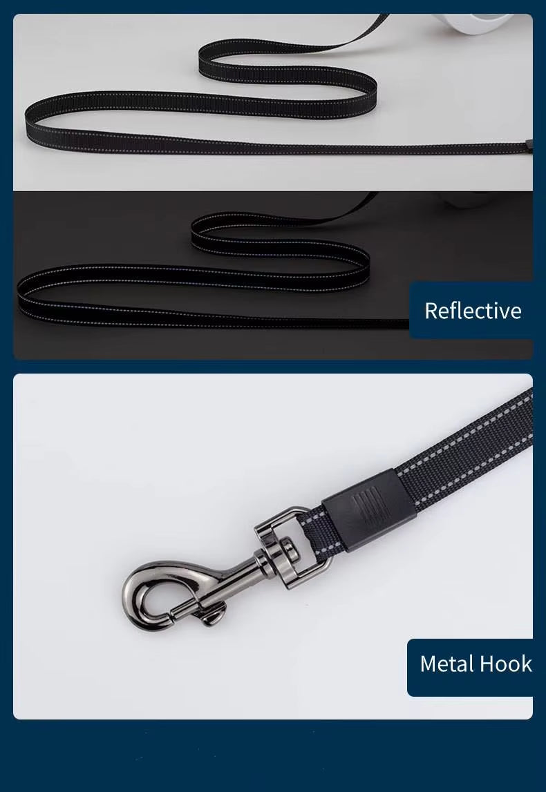 LED Retractable Dog Leash