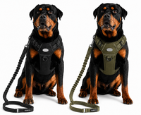 Heavy Duty Dog Training Leash