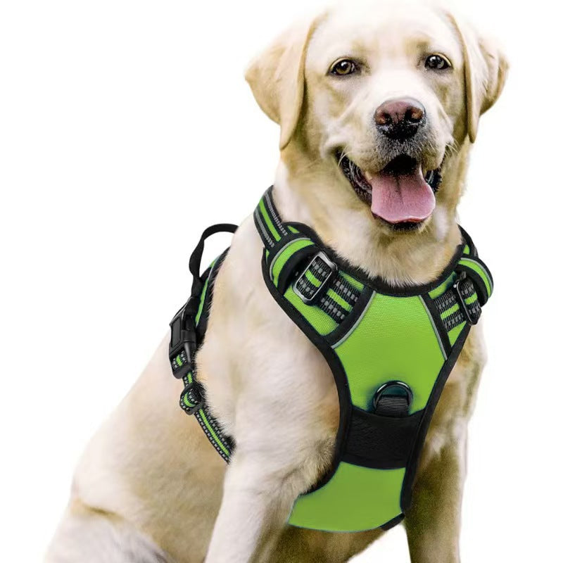Dog Harness & Leash