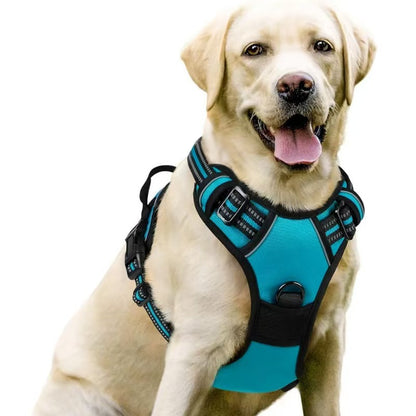 Dog Harness & Leash