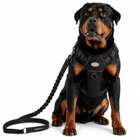 Heavy Duty Dog Training Leash