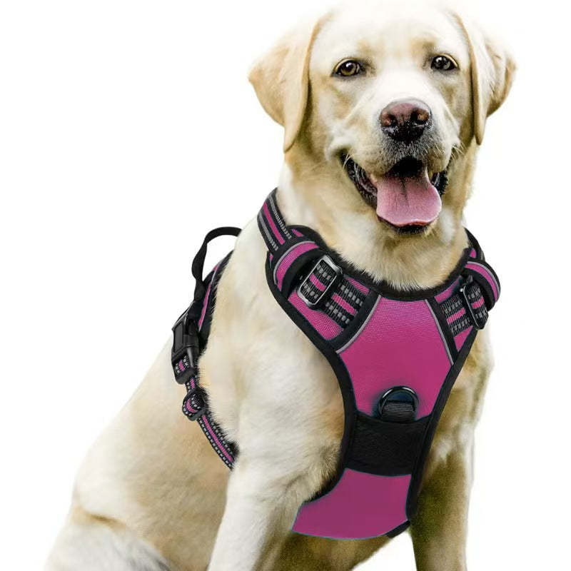 Dog Harness & Leash