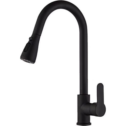 Stainless Steel Pull-Out Faucet