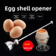 Stainless Steel Egg Server