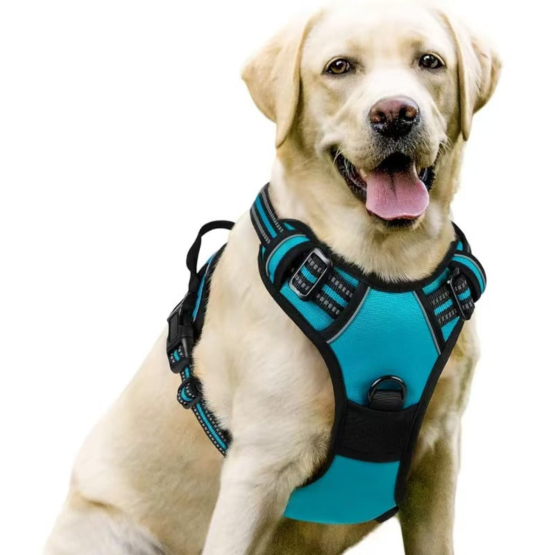 Dog Harness & Leash