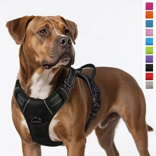 Dog Harness & Leash