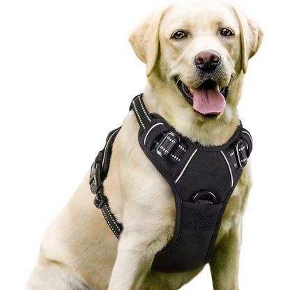 Dog Harness & Leash