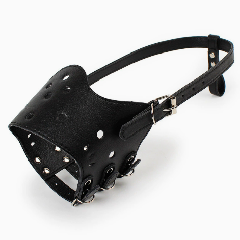 Dog Muzzle Barking Control